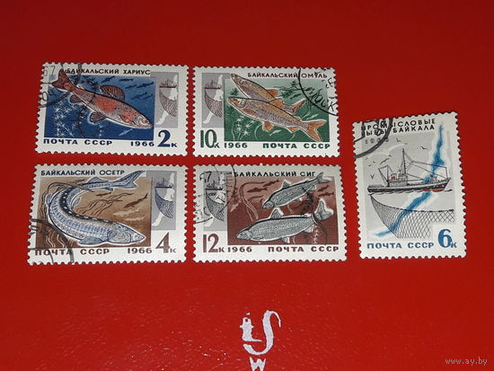 СССР 1966 Фауна. Промысловые рыбы Байкала. Полная серия 5 марок
