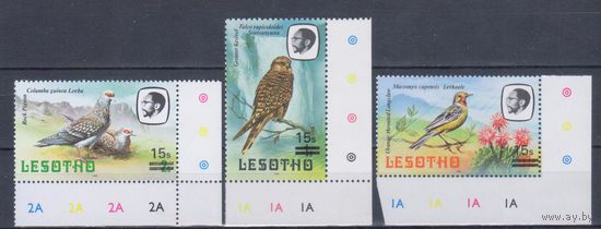 [2170] Лесото 1986. Фауна.Птицы. НАДПЕЧАТКИ. MNH