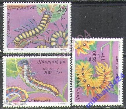 Фауна Насекомые Бабочки Гусеницы 2001 Сомали MNH