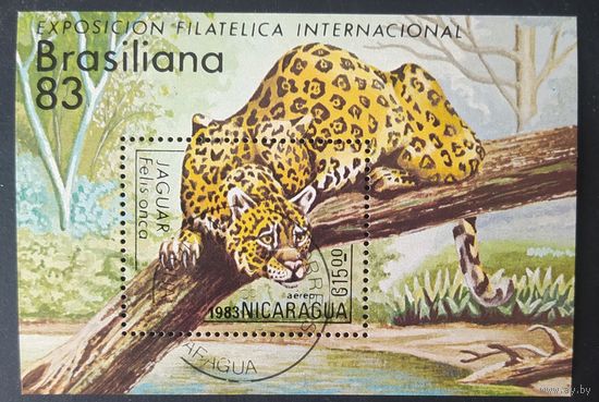 Никарагуа 1983 ягуар