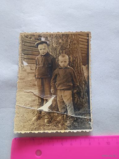 Старое фото дети у дерева
