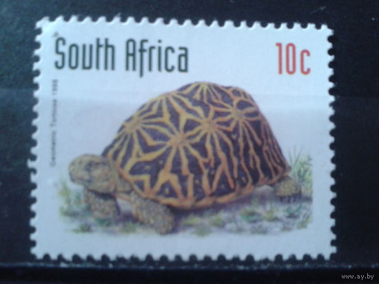 Южная Африка 1998 Черепаха**