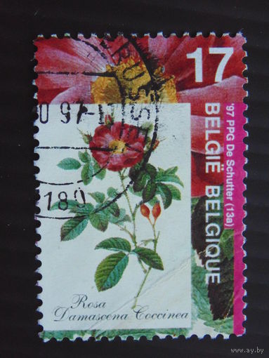 Бельгия 1997 г. Цветы.