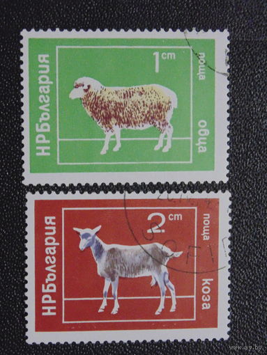 Болгария 1974 г. Домашние животные. Овца и коза.