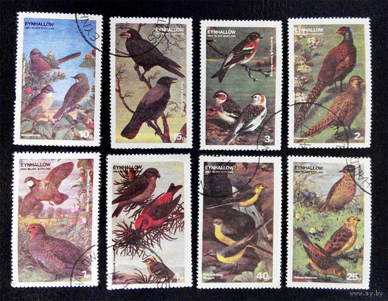 Эйнхаллоу. Шотландия 1977 г. Птицы. Фауна, полная серия из 8 марок #0051-Ф2P9