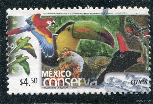 Мексика. Охрана природы. Птицы