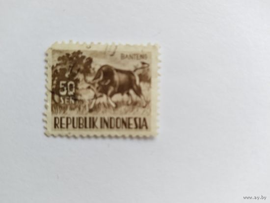 Индонезия 1956 буйвол