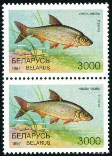 Редкие виды рыб водоемов Беларусь 1997 год (230) сцепка из 2-х марок