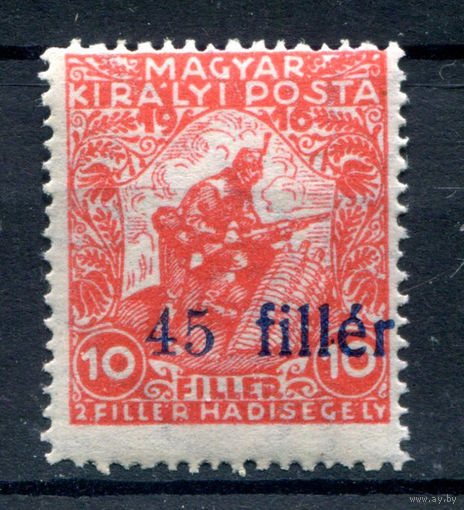 Венгрия - 1919г. - Темесвар, надпечатка 45 f - 1 марка - MNH. Без МЦ!
