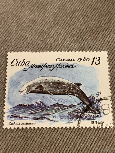 Куба 1980. Дельфины. Ziphius cavirostris. Марка из серии