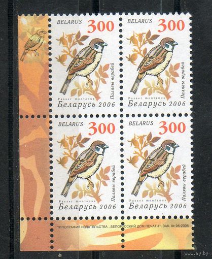 Девятый стандартный выпуск "Птицы сада" Беларусь 2006 год (655) 1 марка в квартблоке (простая бумага)
