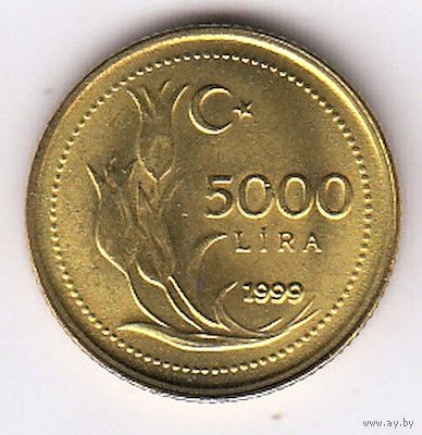Турция 5000 лир 1999 UNC РЕДКАЯ
