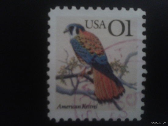 США 1991 птица