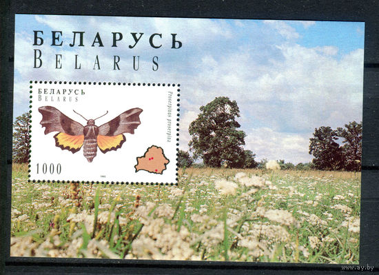 Беларусь - 1996г. - Бабочки - полная серия, MNH [Mi bl. 7] - 1 блок