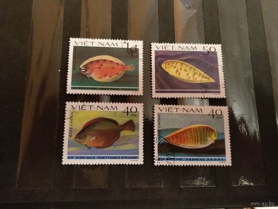 Вьетнам фауна рыбы (4-6)