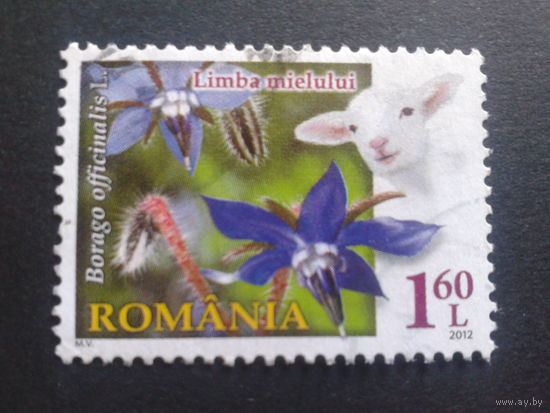 Румыния 2012 цветы, козленок