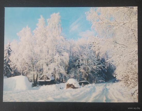 Беларусь 1998 открытка Зимний пейзаж фото Македонского.
