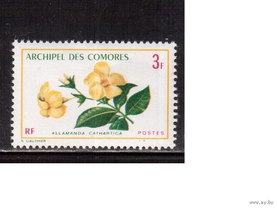 Коморы-1971,(Мих.125)  **  , Флора Цветы
