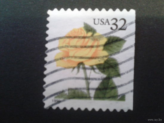США 1996 стандарт, роза