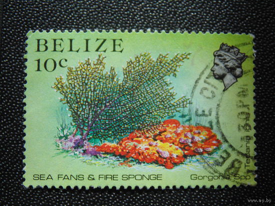 Британский Белиз 1984 г. Морская фауна.