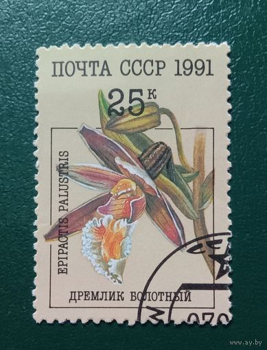 Марка СССР 1991 Орхидеи