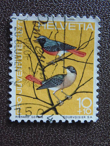 Швейцария 1971 г. Птицы.