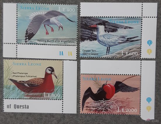2000 год  - Морские птицы мира - Сьерра-Леоне