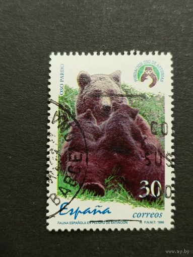 Испания 1996. Редкие животные - Бурый медведь. Полная серия