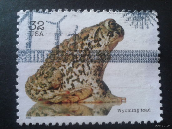 США 1996 жаба