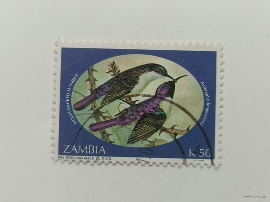 Замбия 1994. Птицы