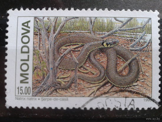 Молдова 1993 змея 15,0 р