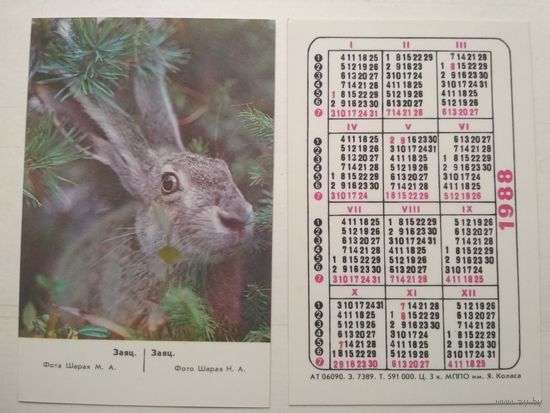 Карманный календарик. Заяц. 1988 год