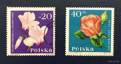 Польша.1964.Цветы (2 марки)