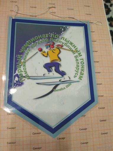 Вымпел Первый чемпионат по лыжным гонками таможенных органов РБ Витебск 2009