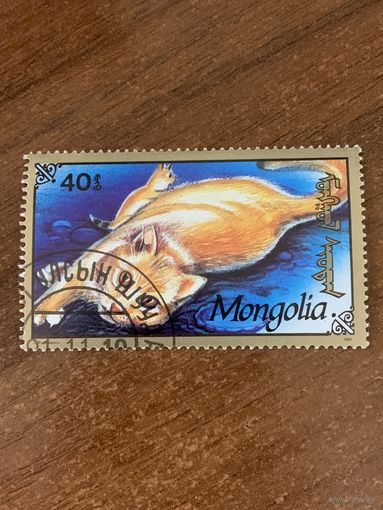 Монголия 1991. Породы кошек. Марка из серии