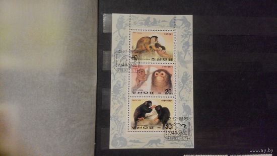 Обезьяны, фауна, марки, блок, КНДР, 1992