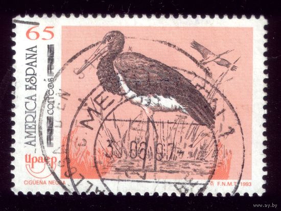 1 марка 1993 год Испания Птичка 3128