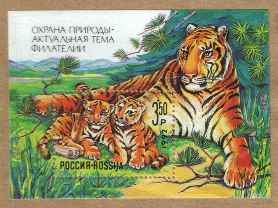 Марки Россия тигры 1992
