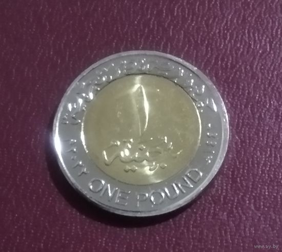 1 фунт Египет UNC