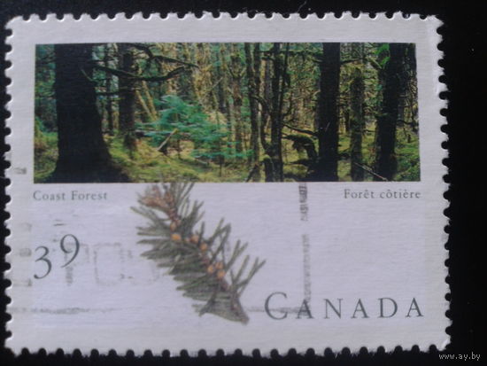 Канада 1990 лес