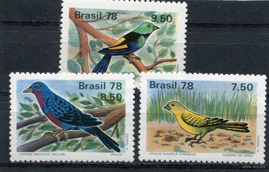 Бразилия. Птицы Бразилии