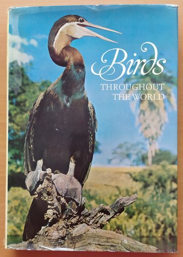 BIRDS - на английском языке