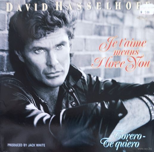 David Hasselhoff  1990, BMG, LP, EX, Germany, Maxi-Single