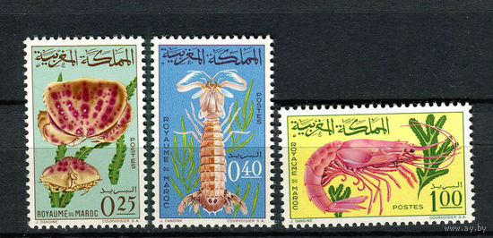 Марокко - 1965 - Морская фауна - [Mi. 553-555] - полная серия - 3 марки. MNH.