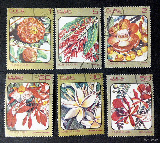 Куба 1984 г. Карибские Цветы. Растения. Флора, полная серия из 6 марок #0074-Ф2P13