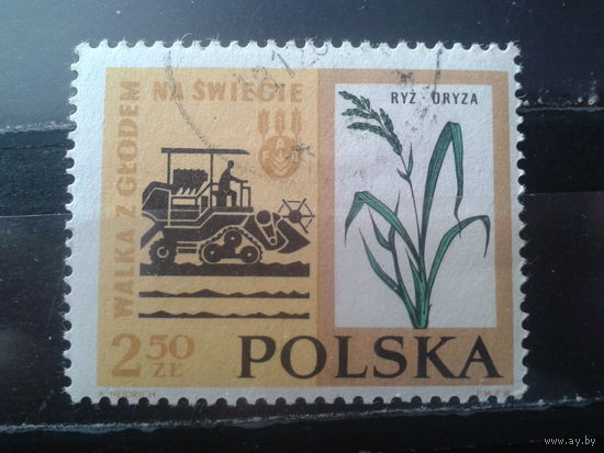 Польша 1963 Борьба с голодом, сельское хозяйство концевая