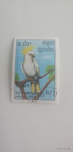 Камбоджа 1989. Попугаи