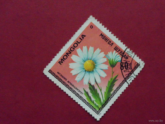 Монголия 1979г. Флора.