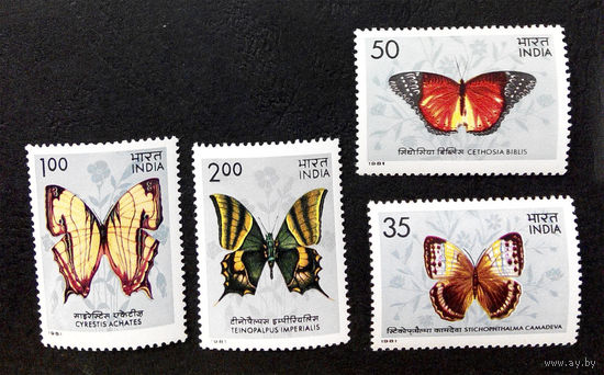 Индия 1981 г. Бабочки. Насекомые. Фауна, полная серия из 4 марок. Чистая #0070-Ч1P9