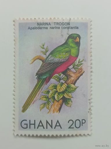 Гана 1981. Птицы